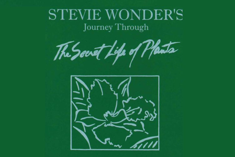 Stevie Wonder’s Journey Through the Secret Life of Plants: Issue 4